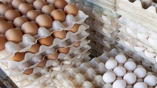 فروش شانه تخم مرغ مقوایی + قیمت خرید به صرفه